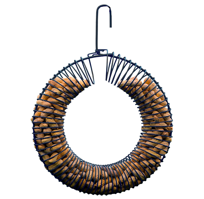 Peanut Feeders