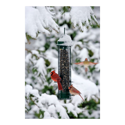 squirrel buster classic bird feeder outdoors during winter