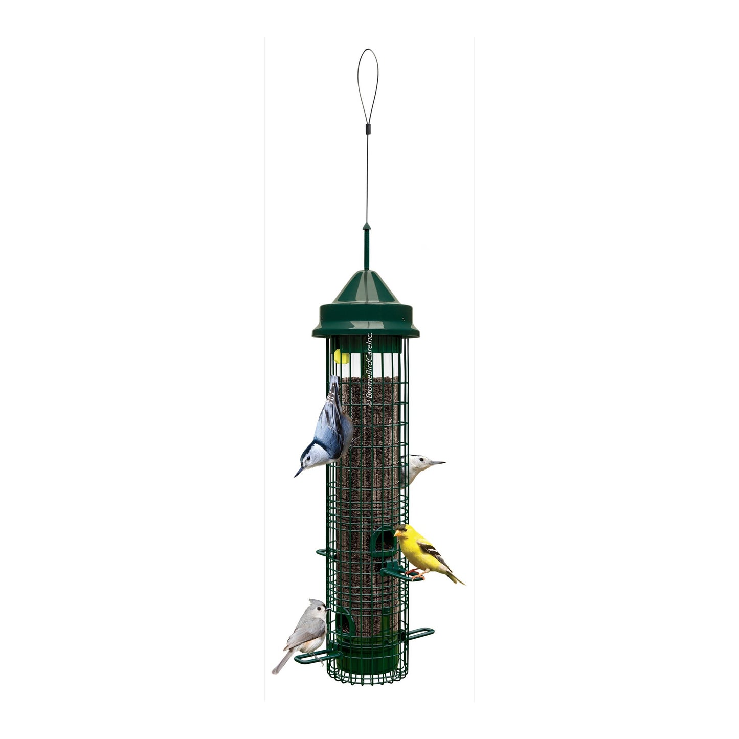 squirrel buster classic bird feeder on white background