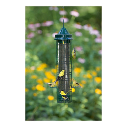 american goldfinches feeding from a green squirrel buster bird feeder outdoors
