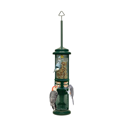 squirrel buster peanut feeder with birds feeding with whitebackground