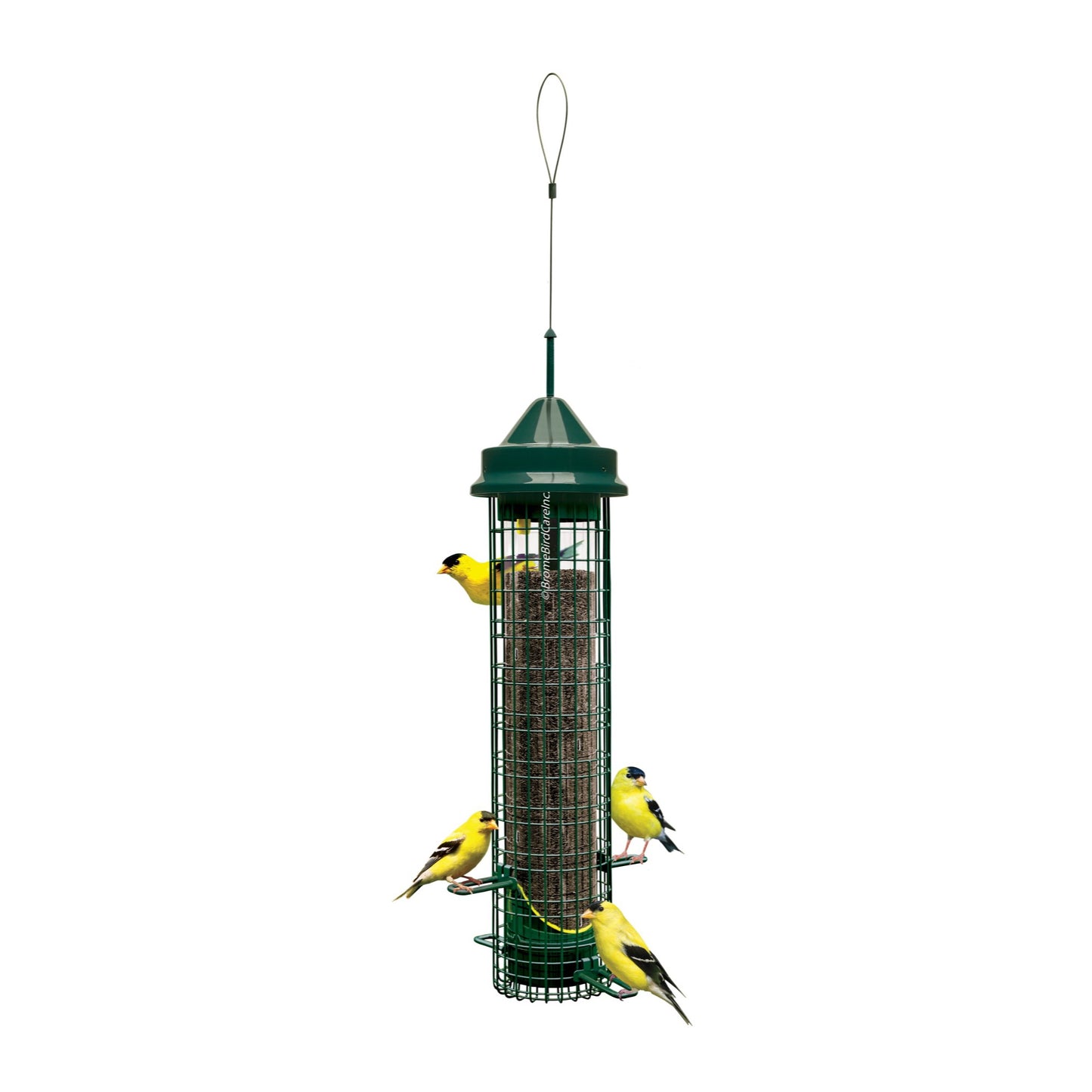 squirrel buster finch feeder on white background