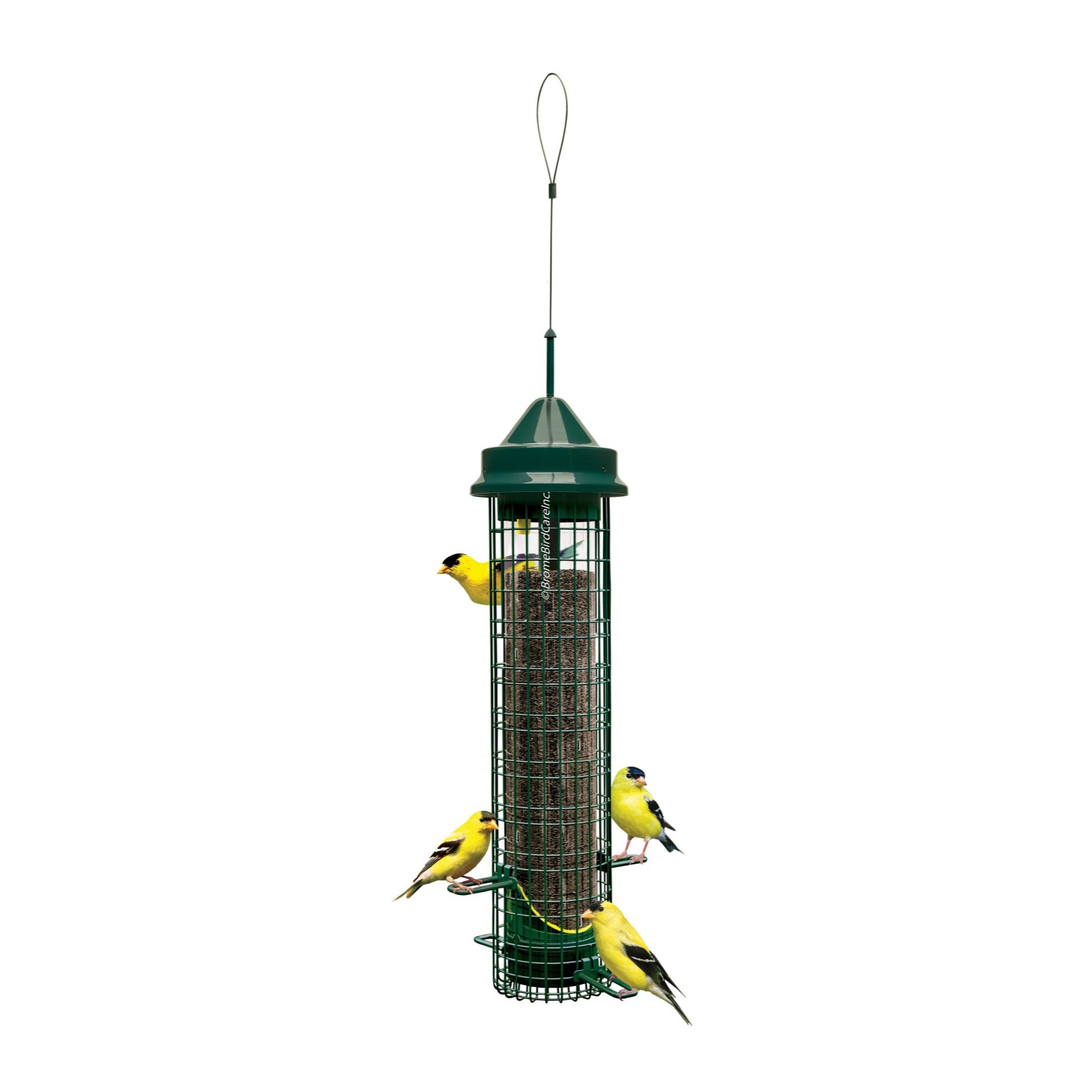 squirrel buster finch feeder on white background