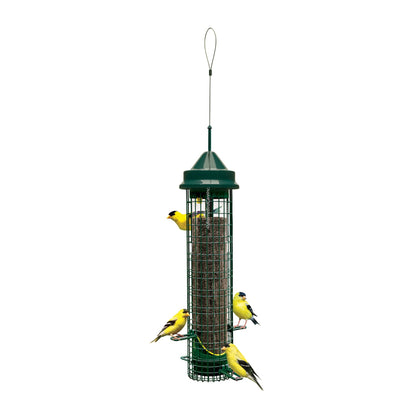 squirrel buster finch feeder on white background