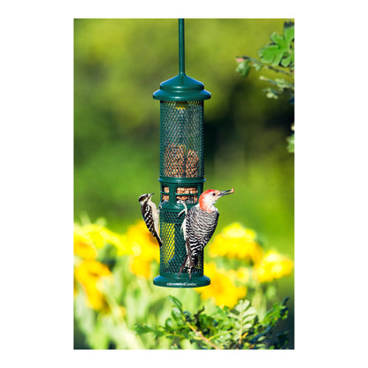 squirrel buster peanut feeder with birds feeding outdoor summer