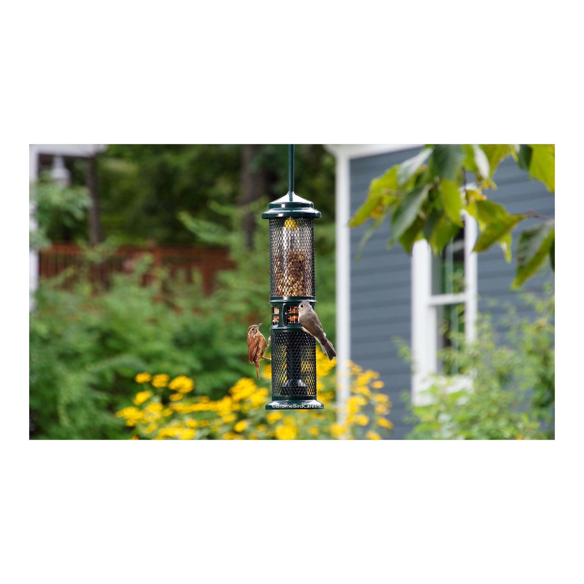 squirrel buster peanut feeder in outdoor garden setting