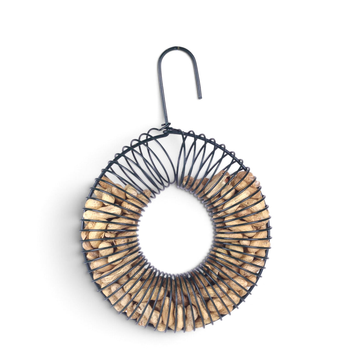Peanut bird feeder with a coil design, filled with whole peanuts, for Blue Jays and other backyard birds